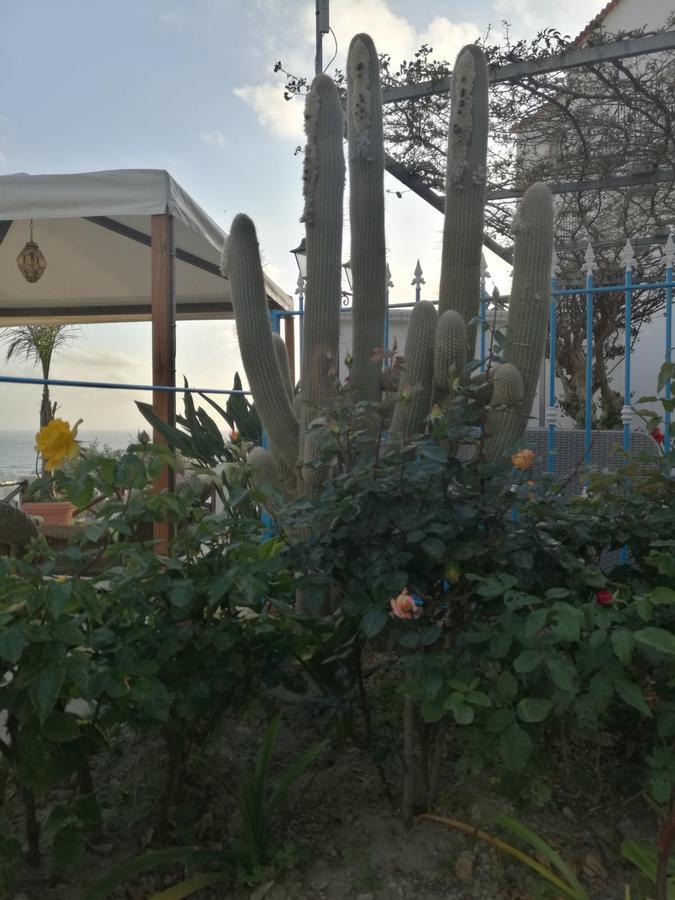 Villa Loreta Forio di Ischia Exteriér fotografie