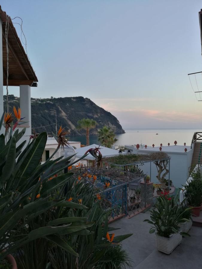 Villa Loreta Forio di Ischia Exteriér fotografie