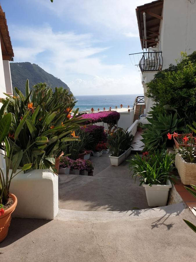 Villa Loreta Forio di Ischia Exteriér fotografie
